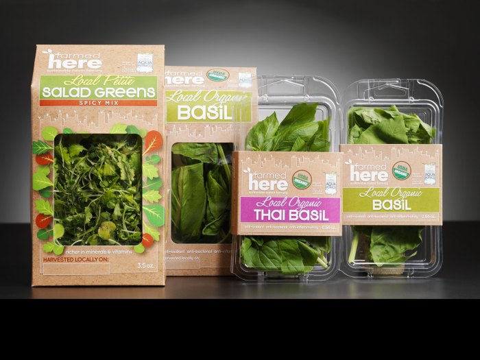 Packaging sustainable food examples conceptual blends tea great eco potted plants package word