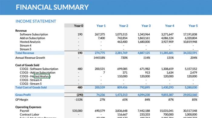 Financial model modeling startups summary introduction result build end