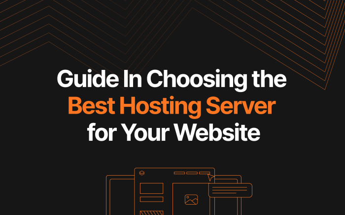 Server hosting dedicated